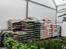 Central Flor, Floricultura e Paisagismo inaugura em São Miguel do Oeste