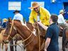 Cavalgada em homenagem ao Dia do Gaúcho ocorre em São Miguel do Oeste