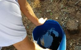 Em fiscalização dos agentes da dengue mais um foco é encontrado em SJCedro