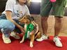 Desfile de cães tem presença de 30 animais na Faismo 2024