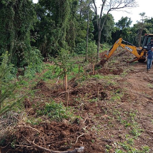 São João do Oeste planta mais de mil árvores em área pública