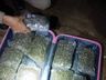 Homem e mulher são presos pela PM por tráfico de drogas