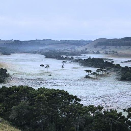 Serra catarinense volta a amanhecer com temperaturas abaixo de zero e paisagens cobertas de gelo