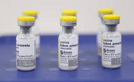 Estado confirma segunda morte por febre amarela em 2020 e reforça importância da vacina