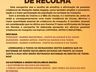 Município registra primeiro caso de dengue no ano