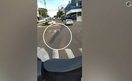 Motorista atropela e arrasta cachorro em SMO; vídeo