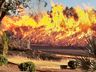 Incêndio deixa rodovia SC163 interrompida em São João do Oeste