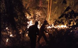 Incêndio atinge cerca de sete hectares no interior de Cunha Porã