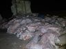 Caminhoneiro fica preso às ferragens em capotamento na BR-282
