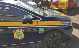 Em Vitorino, polícia apreende 69 quilos de maconha que estava em motocicleta