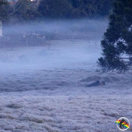 Após chegada do frio e neve, SC registra temperatura mais baixa do ano