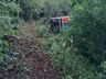 Caminhão carregado de frutas capota em ribanceira na SC-161, em Palma Sola