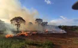 Incêndio atinge área de descarte de galhos no interior de Cunha Porã