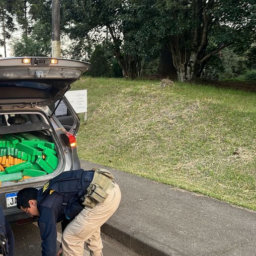 Polícia apreende 632 kg de maconha em operação na SC-467