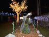 Santa Terezinha do Progresso comemora acendimento das luzes com show 