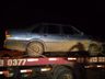 Polícia prende suspeito de furto de gado em Tunápolis