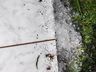 VÍDEO: Temporal com granizo causa estragos em São Miguel do Oeste