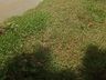 Seguem as buscas por mulher desaparecida no interior de Tunápolis