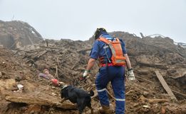 Bombeiros de Santa Catarina chegam a Petrópolis para auxiliar nas buscas