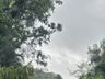 Chuvas intensas causam estragos nas estradas do interior de São José do Cedro