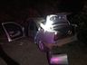 Vídeo: Carro capota, bate em árvore e condutor abandona local em SMOeste