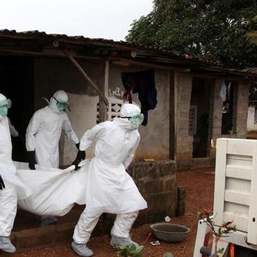 Guiné anuncia oficialmente uma epidemia de Ebola