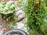 Chuva de granizo atinge interior de Campo Erê e São Bernardino 