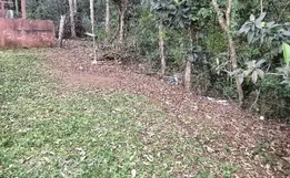 Feto humano é encontrado por crianças no meio-oeste de SC