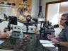 AO VIVO: Retrospectiva 2020 e Perspectiva 2021 da Rádio Oeste FM