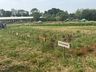 Cedup Campo Erê realiza tradicional Dia de Campo 