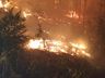 Incêndios florestais mobilizam bombeiros por mais de dez horas em SJCedro