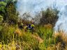 VÍDEO: Geada e tempo seco aumentam riscos de incêndios em vegetação 