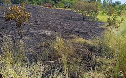 VÍDEO: Incêndio em vegetação mobiliza bombeiros de Itapiranga