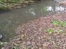 Polícia Ambiental investiga poluição hídrica em Itapiranga
