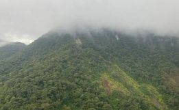 Avião que desapareceu é encontrado com três corpos na divisa entre o PR e SC