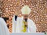 Missa oficializa novo vigário em São Miguel do Oeste; fotos