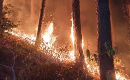 Vídeo: Incêndio florestal mobiliza bombeiros por sete horas no dia de natal 