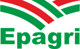 Epagri trabalha no planejamento de ações e atividades para 2025