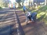 Mulher sofre graves ferimentos em queda de motocicleta na SC 163