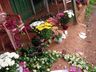 Comunidade faz celebração em homenagem às vítimas da chacina em Campo Erê