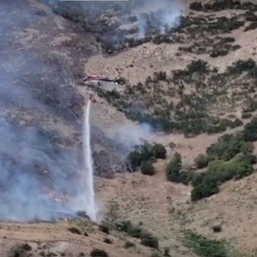 Homem tenta queimar aranha com isqueiro, causa incêndio florestal e é preso