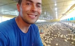 Em meio à pandemia, produtores aproveitam bom momento da avicultura e planejam novos investimentos