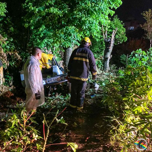 Saída de pista seguida de choque lateral em árvore deixa dois feridos no acesso a SMOeste