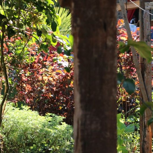 Município contabiliza cerca 1,5 mil casos de Dengue