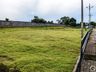 VÍDEO: IMA libera licença ambiental do Cemitério do Santa Rita