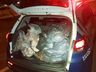 Bandidos arrombam feira e furtam 150 kg em salames e carnes em Chapecó