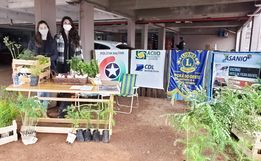Entrega de mudas de árvores nativas marca Dia Mundial do Meio Ambiente em Iporã do Oeste