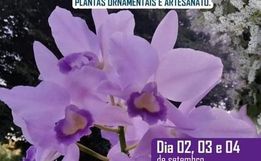 8ª Exposição de Orquídeas de Anchieta continua neste final de semana