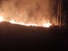 Incêndio atinge 64 hectares de reflorestamento no interior