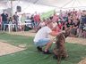 Desfile de cães tem presença de 20 animais na Efrait 2024
